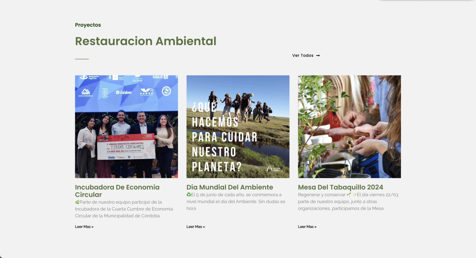 Accion Ambiental - 2