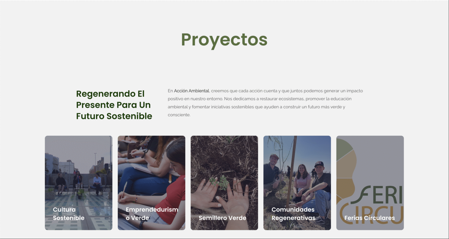 Accion Ambiental - 3